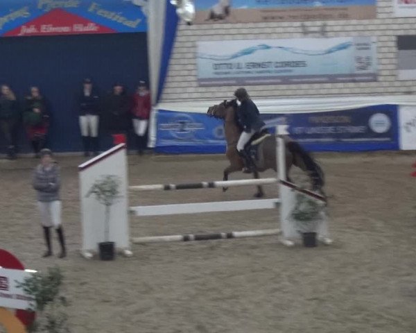 Reitturnier Lathen 2019