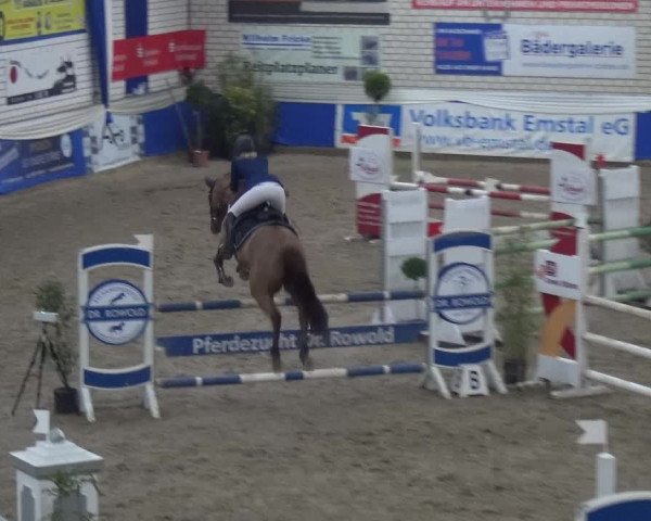 Reitturnier Lathen 2019