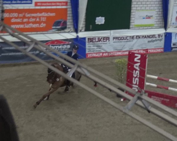 Reitturnier Lathen 2019