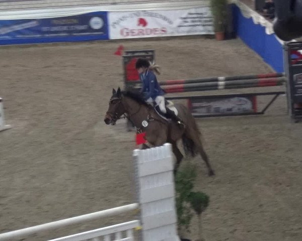 Reitturnier Lathen 2019