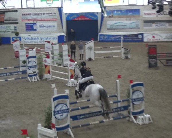 Reitturnier Lathen 2019