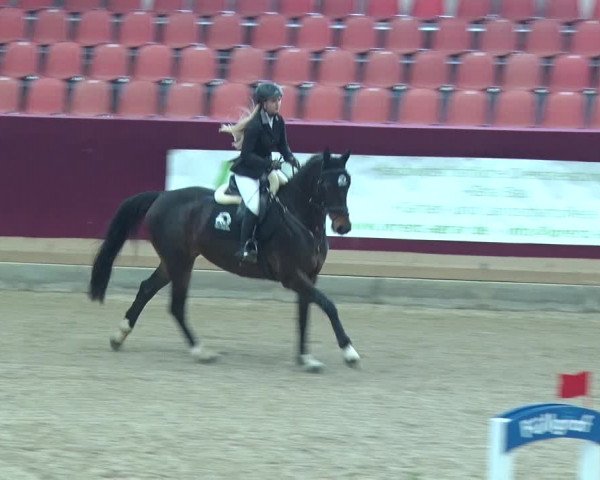 Reitturnier Neustadt/Dosse 2019