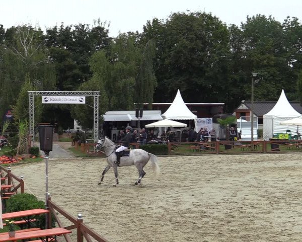 Equus Colonius - Reitanlage Brüse Köln 2021