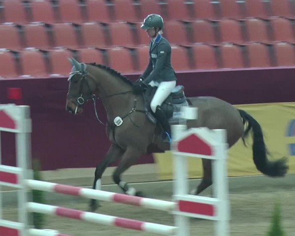 Reitturnier Neustadt/Dosse 2019