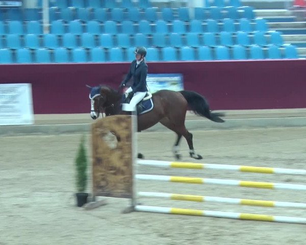 Reitturnier Neustadt/Dosse 2019
