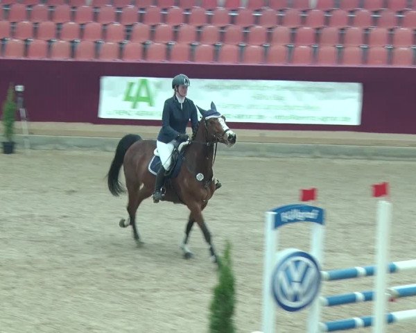 Reitturnier Neustadt/Dosse 2019