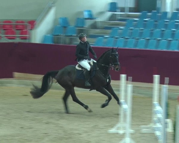 Reitturnier Neustadt/Dosse 2019