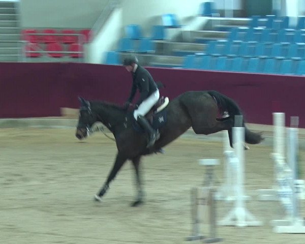 Reitturnier Neustadt/Dosse 2019