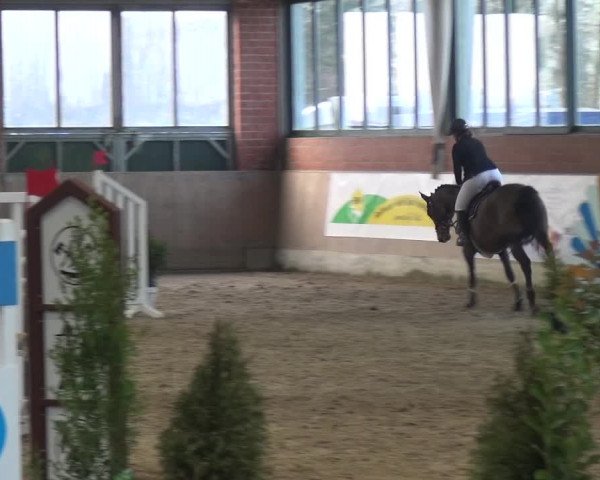 Reitturnier Heiden 2019