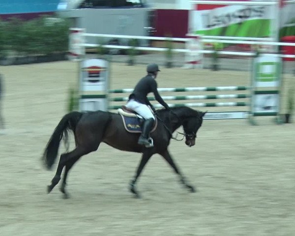 Reitturnier Neustadt/Dosse 2019