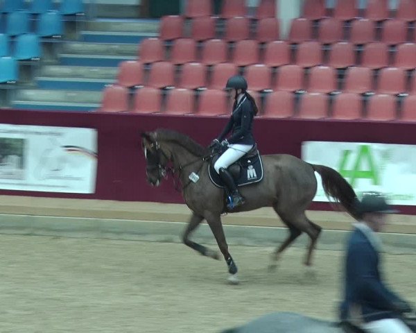 Reitturnier Neustadt/Dosse 2019