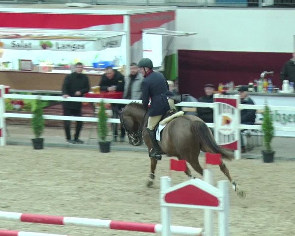 Reitturnier Neustadt/Dosse 2019