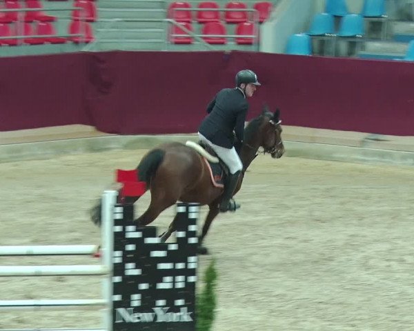 Reitturnier Neustadt/Dosse 2019
