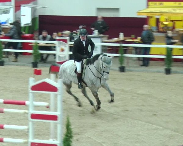 Reitturnier Neustadt/Dosse 2019