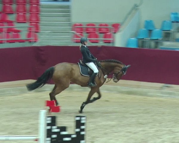 Reitturnier Neustadt/Dosse 2019