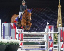 jumper Creme van het Steentje (Belgian Warmblood, 2002, from Kashmir van't Schuttershof)