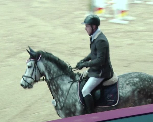 Reitturnier Neustadt/Dosse 2019
