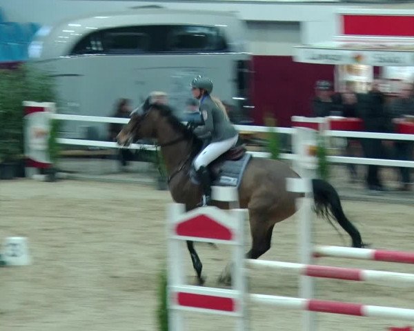 Reitturnier Neustadt/Dosse 2019