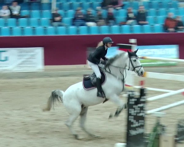 Reitturnier Neustadt/Dosse 2019
