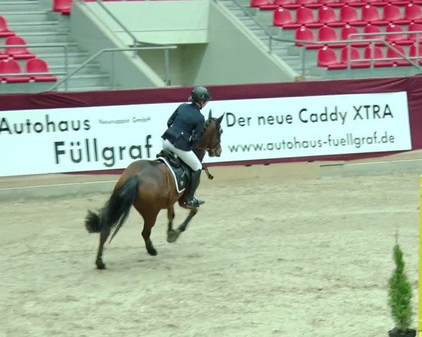 Reitturnier Neustadt/Dosse 2019
