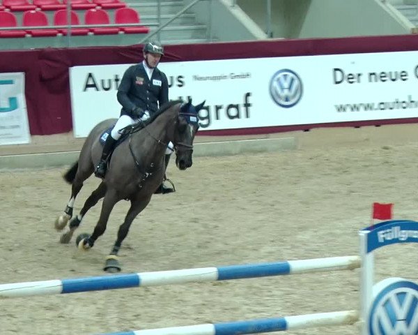 Reitturnier Neustadt/Dosse 2019