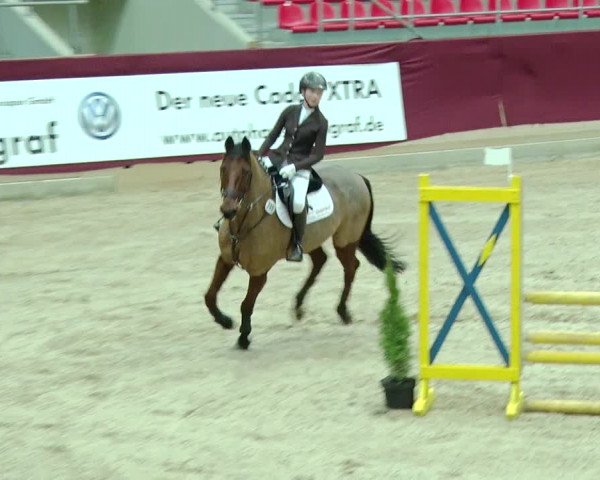 Reitturnier Neustadt/Dosse 2019