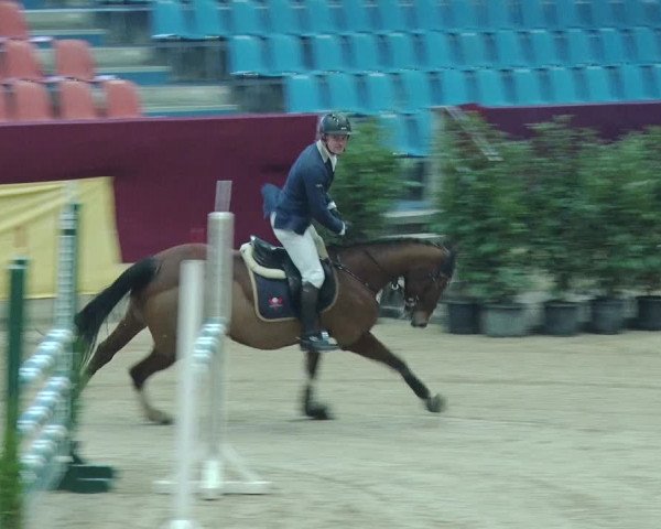 Reitturnier Neustadt/Dosse 2019