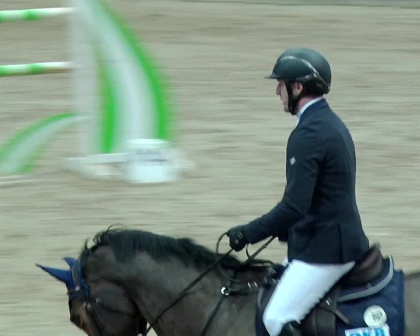 Reitturnier Neustadt/Dosse 2019