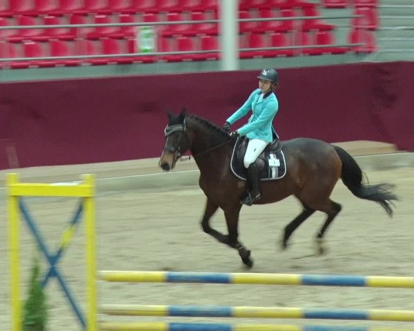 Reitturnier Neustadt/Dosse 2019