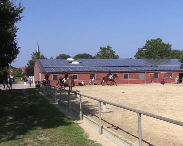 Reitturnier Ascheberg 2021