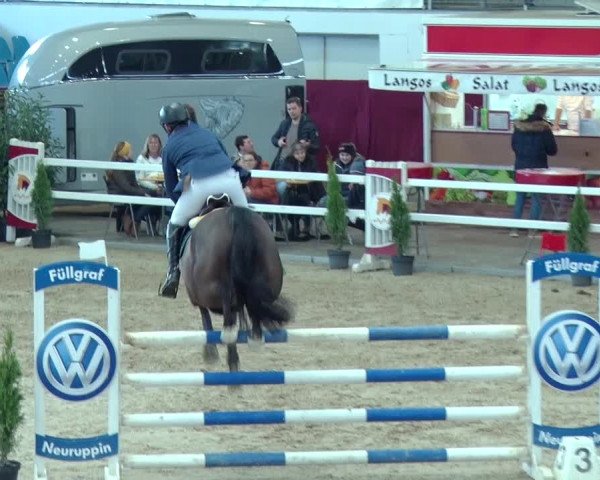 Reitturnier Neustadt/Dosse 2019