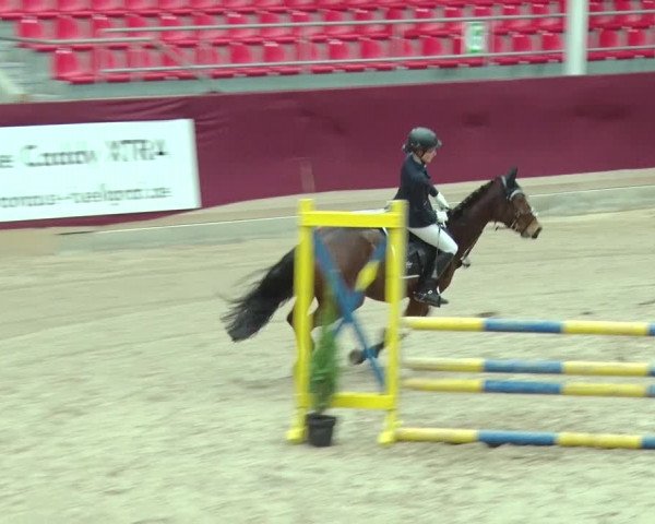 Reitturnier Neustadt/Dosse 2019