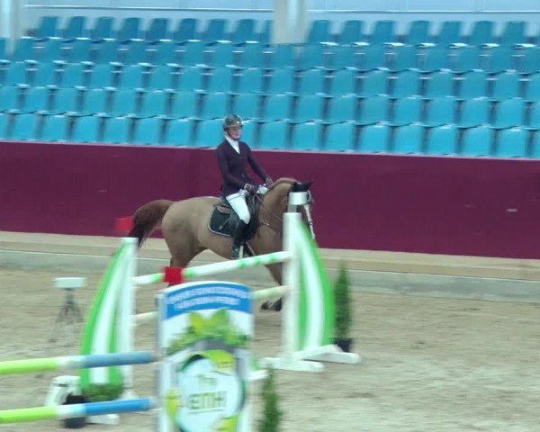 Reitturnier Neustadt/Dosse 2019