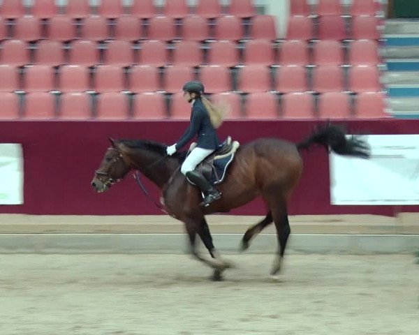 Reitturnier Neustadt/Dosse 2019