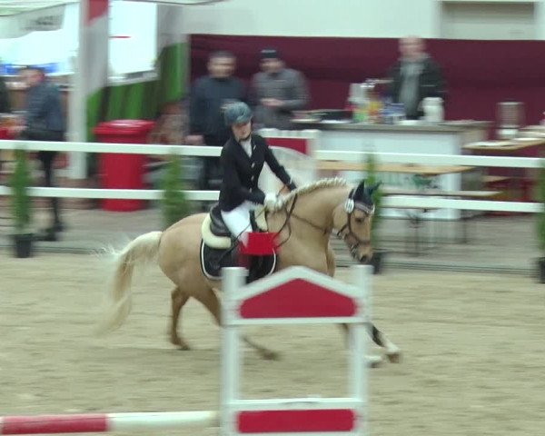 Reitturnier Neustadt/Dosse 2019