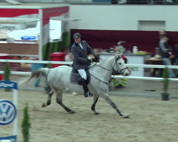 Reitturnier Neustadt/Dosse 2019