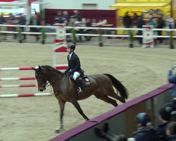 Reitturnier Neustadt/Dosse 2019
