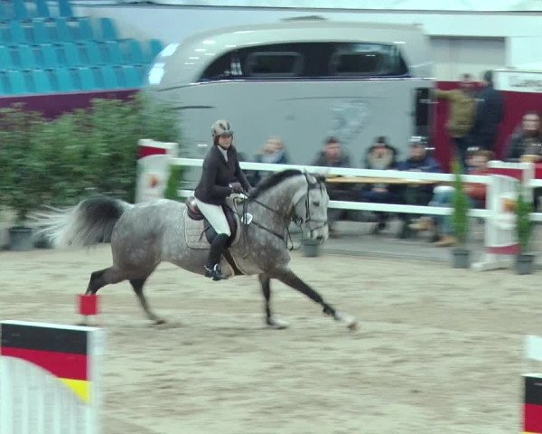 Reitturnier Neustadt/Dosse 2019
