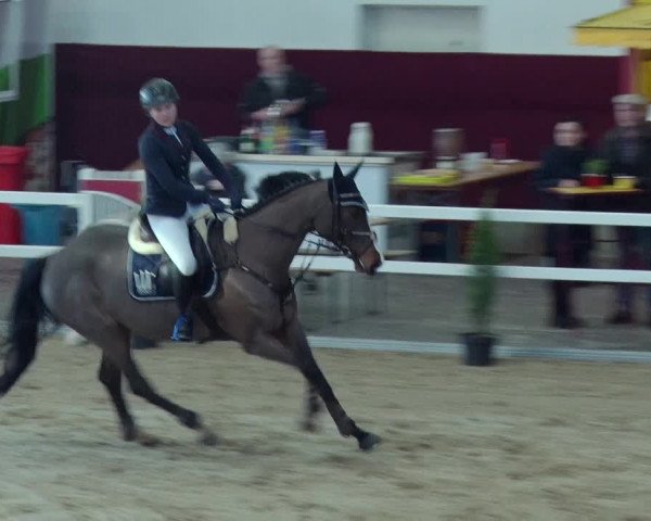 Reitturnier Neustadt/Dosse 2019