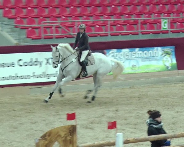 Reitturnier Neustadt/Dosse 2019