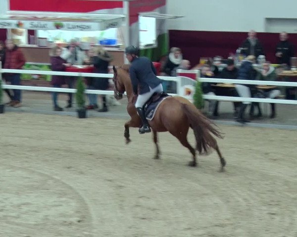 Reitturnier Neustadt/Dosse 2019