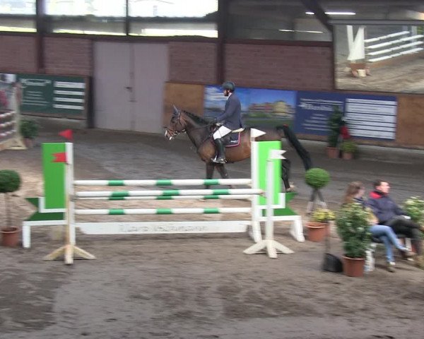 Reitturnier Hamburg-Friedrichshulde/Sylva Kuhrt 2019