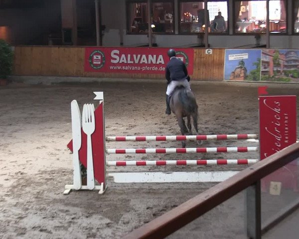 Reitturnier Hamburg-Friedrichshulde/Sylva Kuhrt 2019