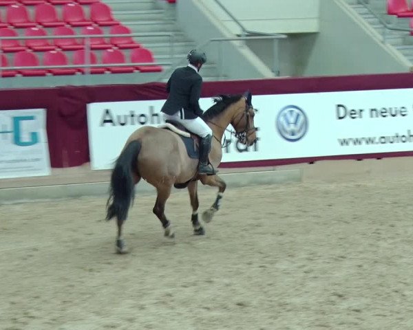 Reitturnier Neustadt/Dosse 2019