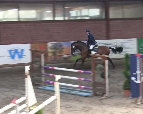 Reitturnier Hamburg-Friedrichshulde/Sylva Kuhrt 2019