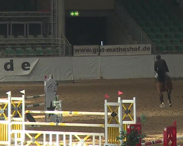 Reitturnier Kreuth/Opf. 2019