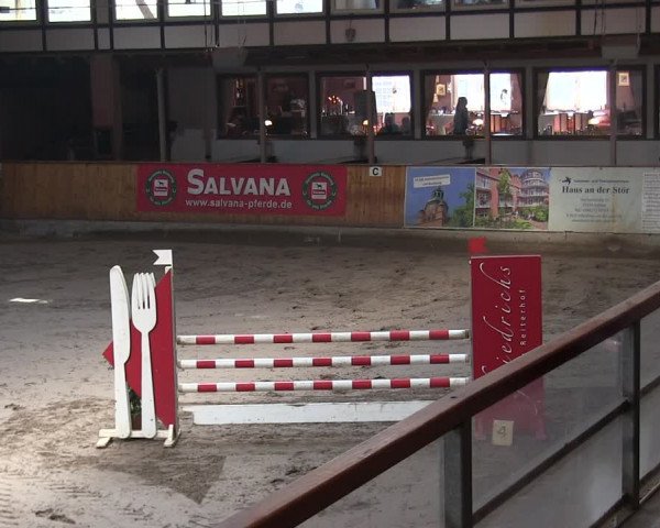 Reitturnier Hamburg-Friedrichshulde/Sylva Kuhrt 2019