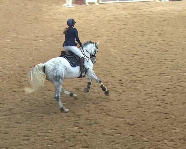 Reitturnier Kreuth/Opf. 2019