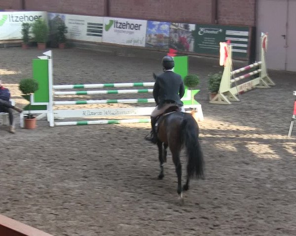 Reitturnier Hamburg-Friedrichshulde/Sylva Kuhrt 2019