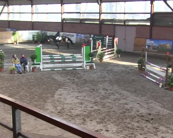 Reitturnier Hamburg-Friedrichshulde/Sylva Kuhrt 2019